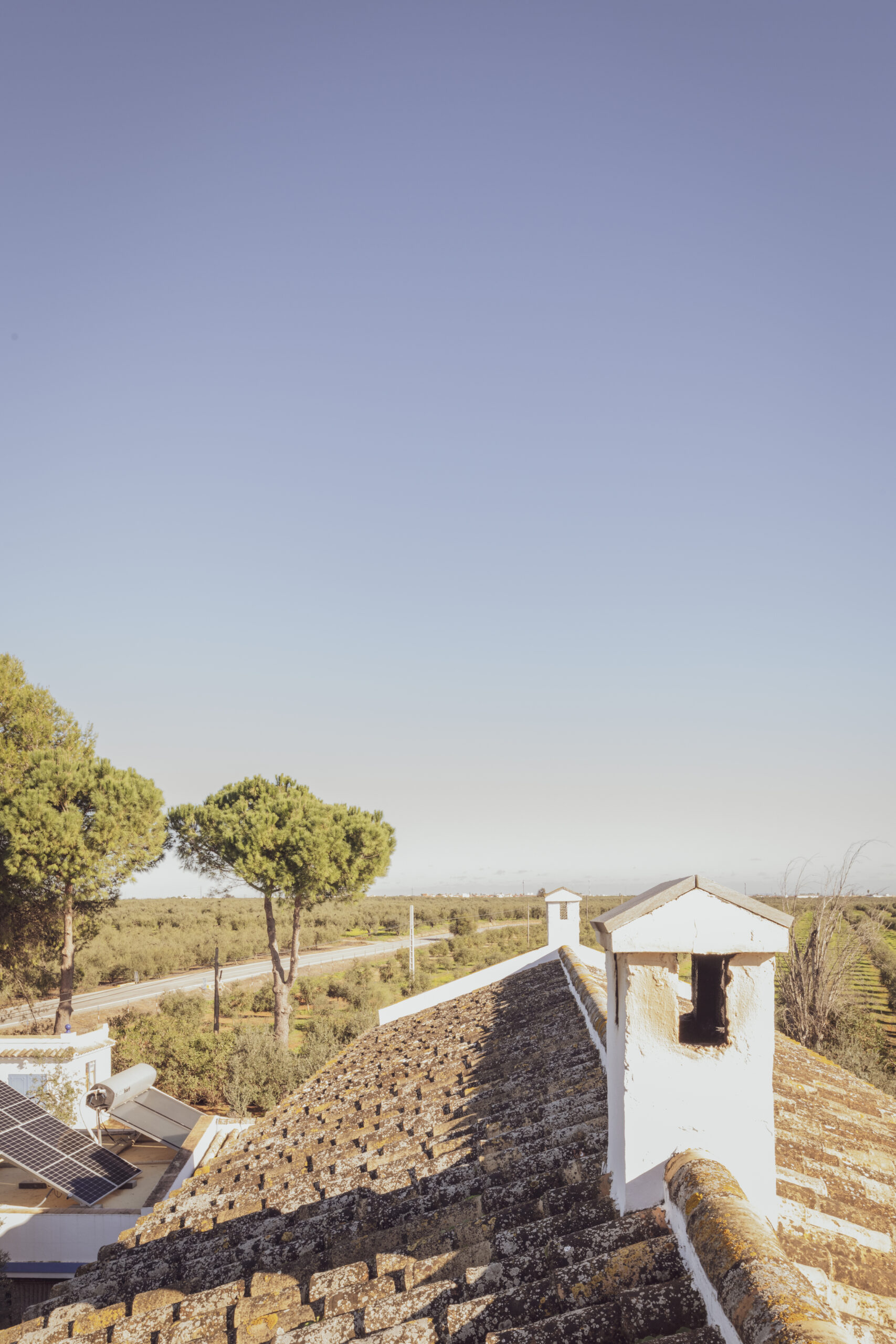 Proyecto El Alijar - Zurita Studio