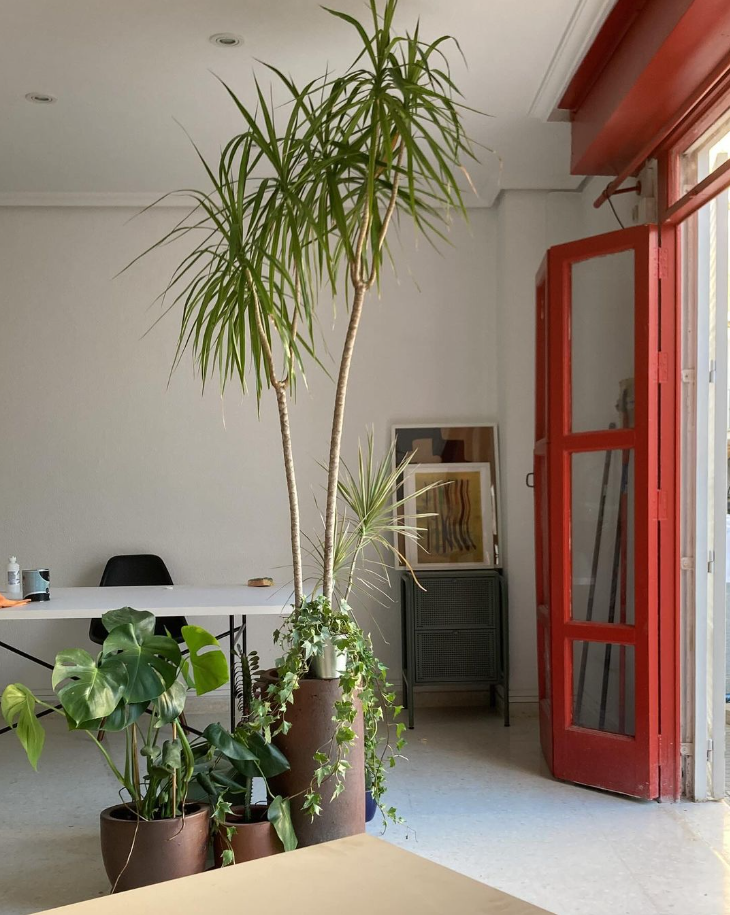 Proyecto Estudio Zurita - Zurita Studio