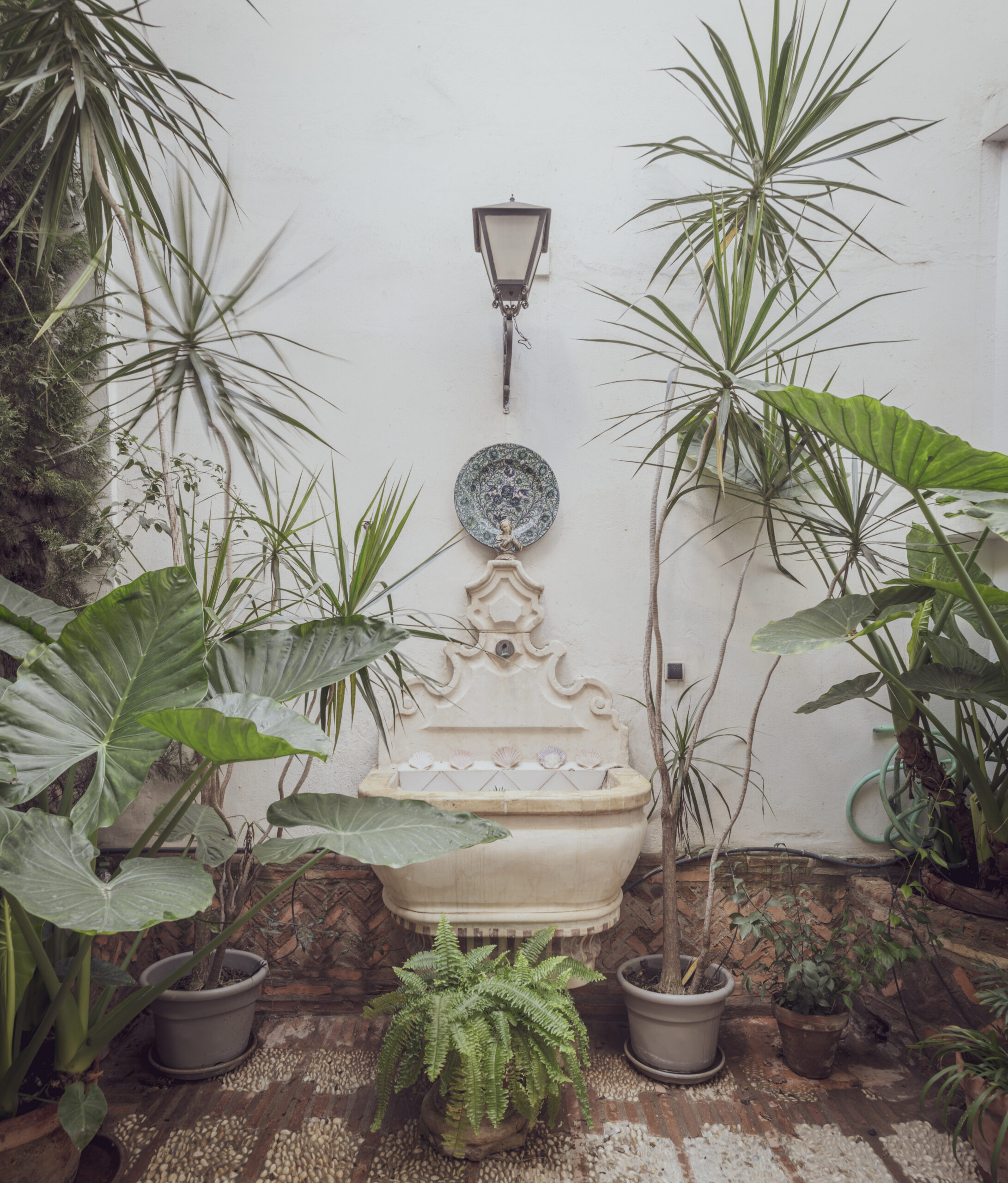 Rehabilitación de apartamento en Calle Sierpes - Detalle 3